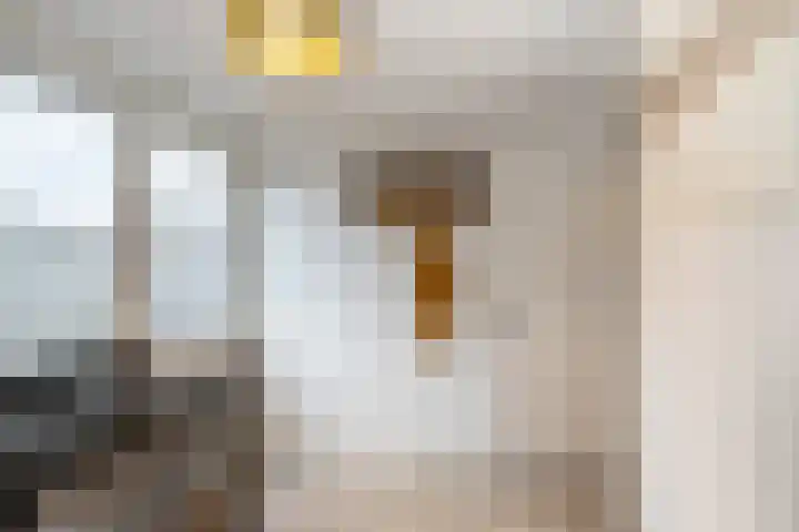 Patijnestraat 10 Maassluis thumbnail 21
