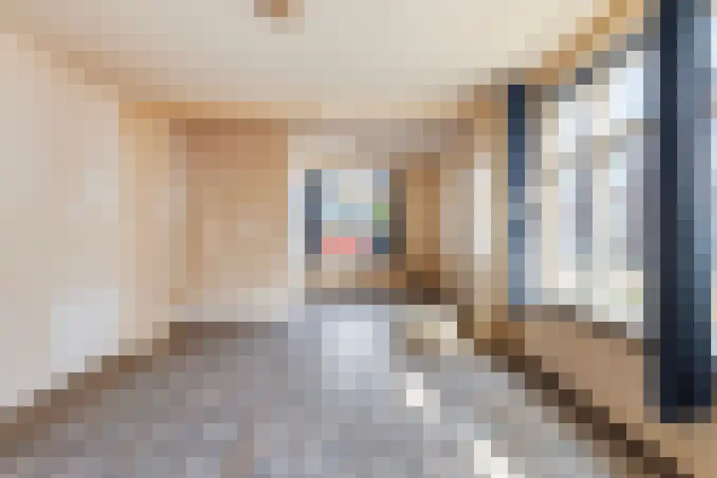 Patijnestraat 26 Maassluis thumbnail 4