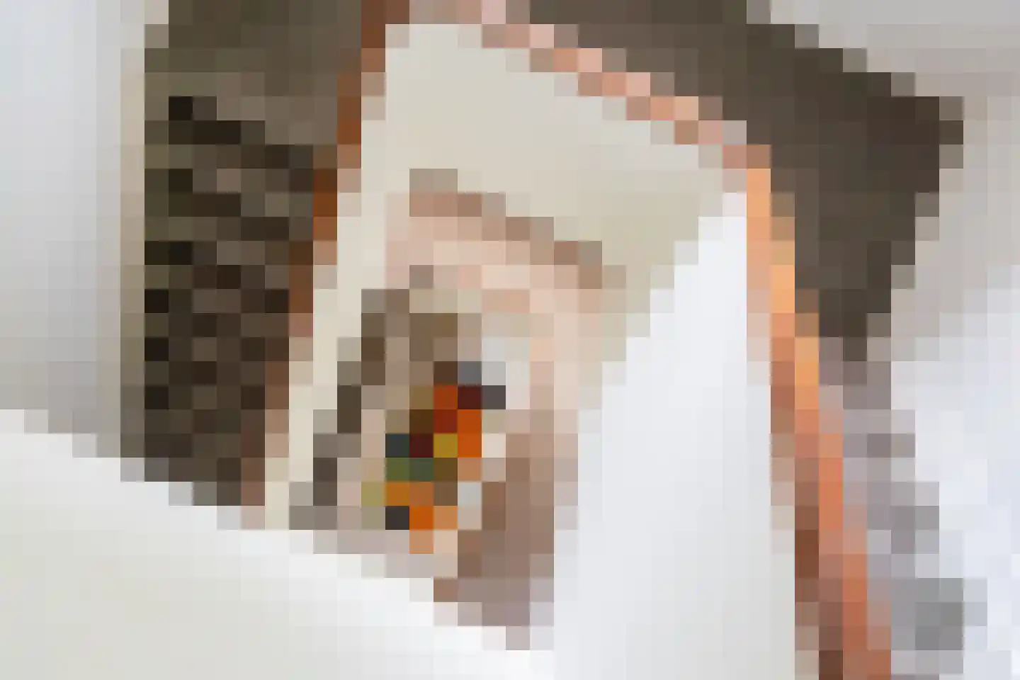 Patijnweg 28 Goes thumbnail 27