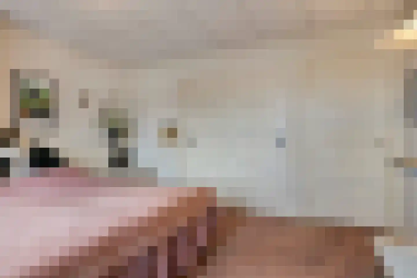 Patijnweg 28 Goes thumbnail 30