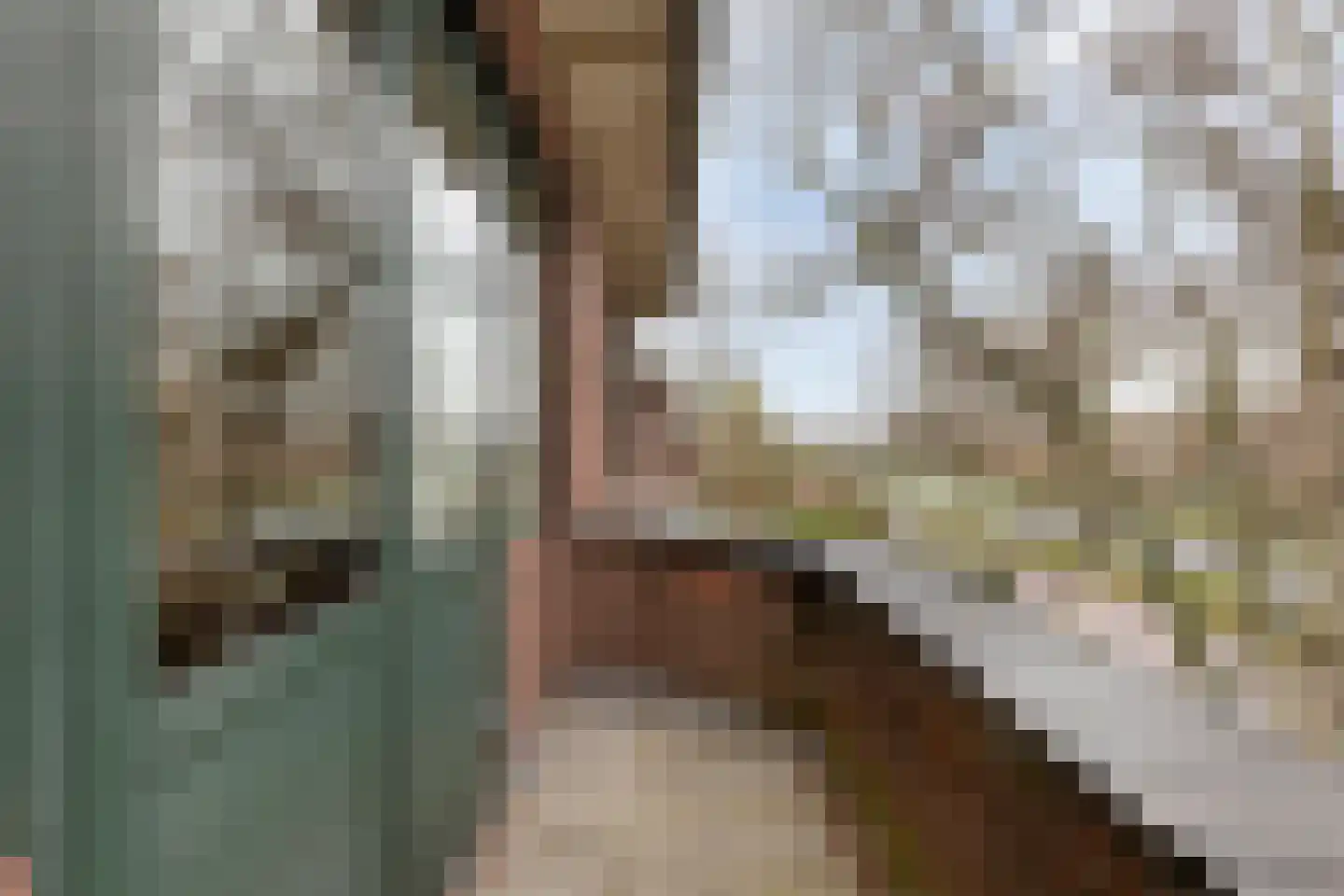 Patijnweg 28 Goes thumbnail 38