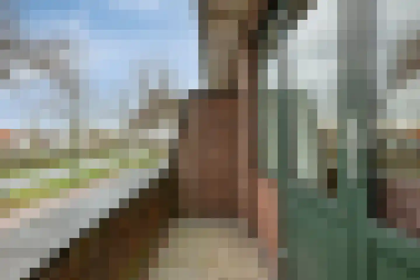 Patijnweg 28 Goes thumbnail 39