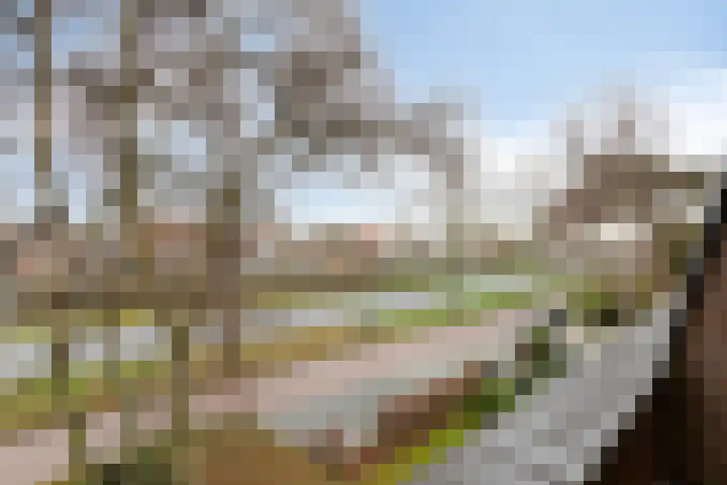 Patijnweg 28 Goes thumbnail 40