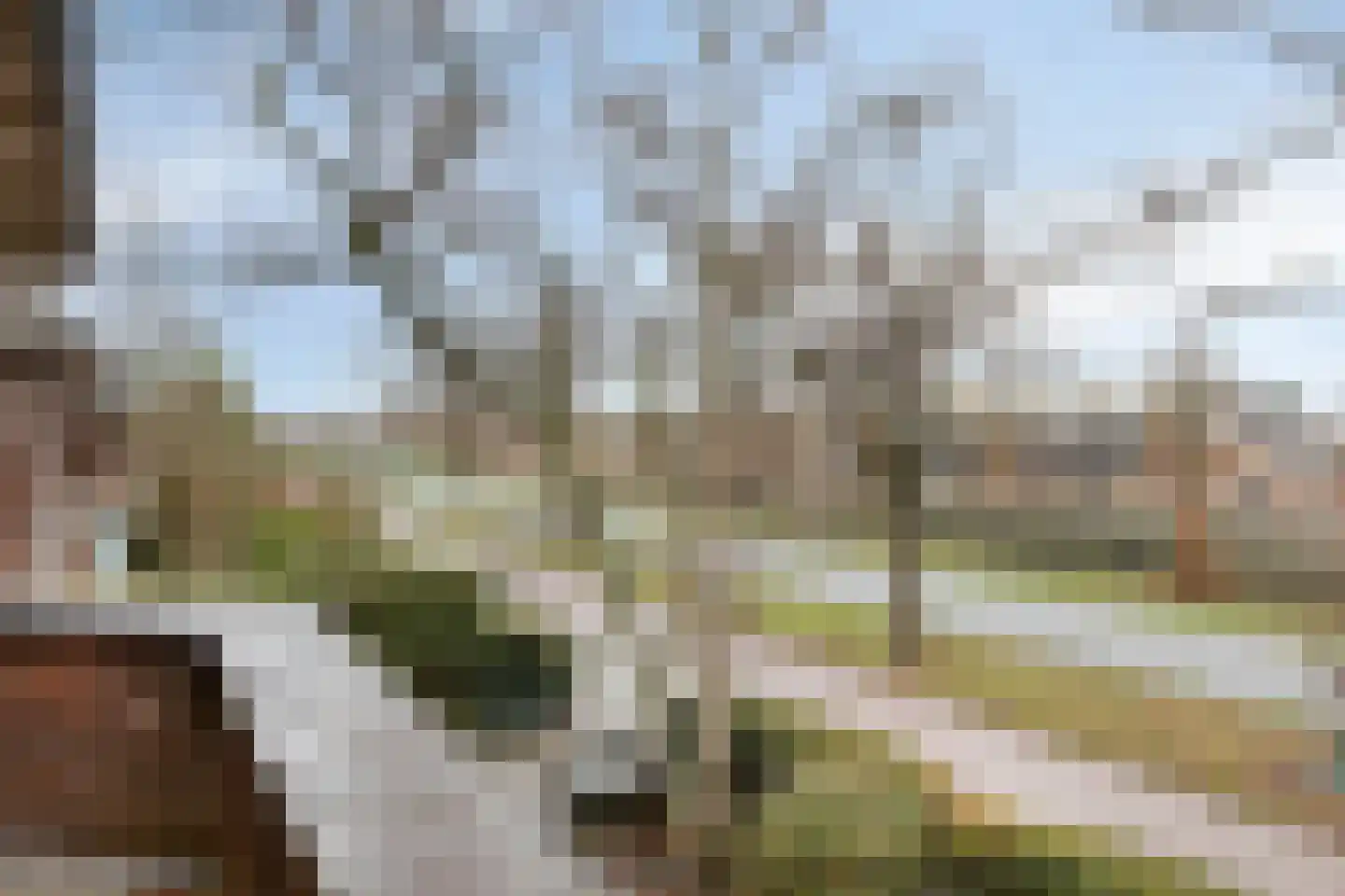 Patijnweg 28 Goes thumbnail 41