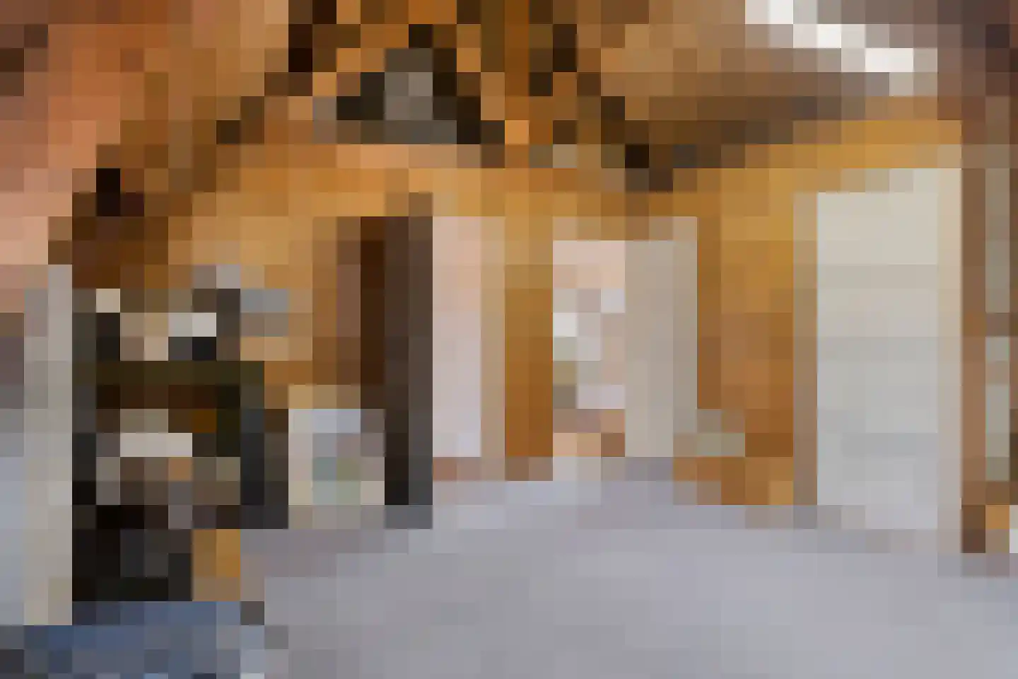 Patijnweg 28 Goes thumbnail 44