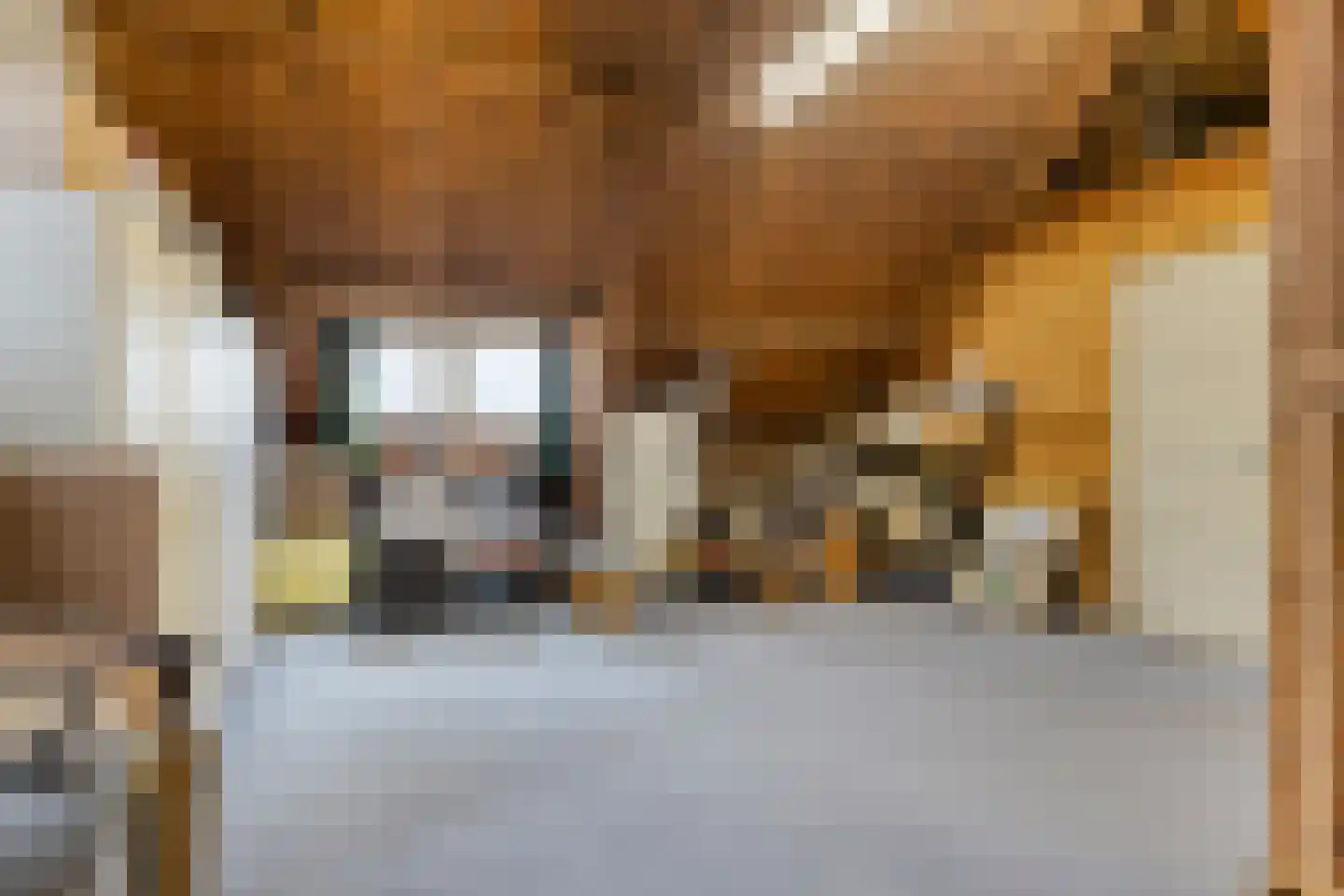 Patijnweg 28 Goes thumbnail 46