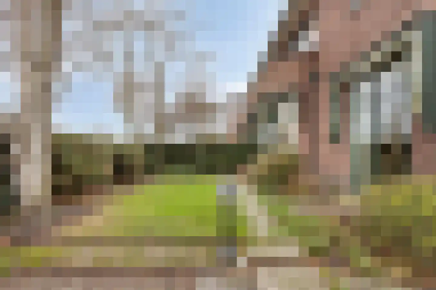 Patijnweg 28 Goes thumbnail 5