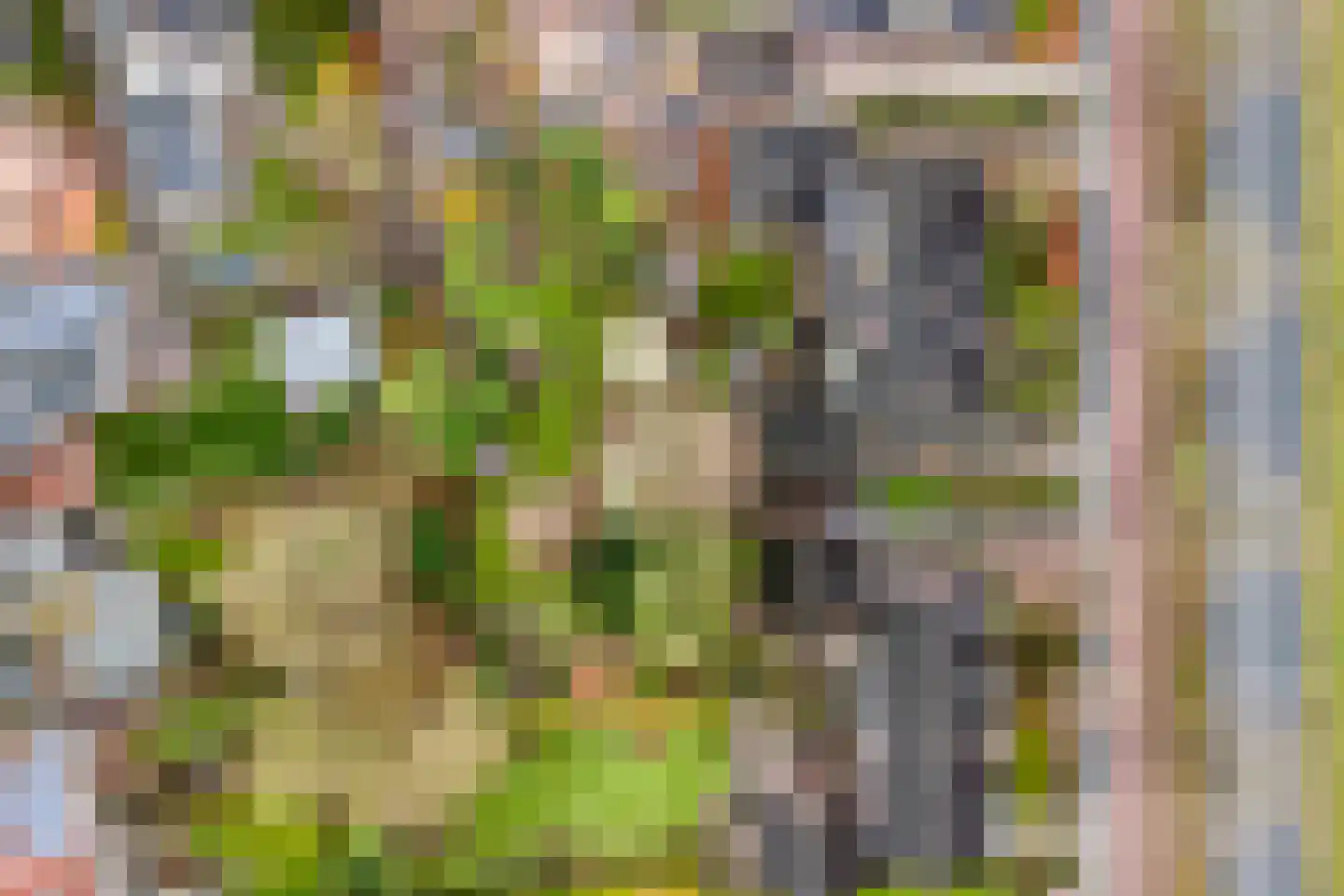 Patijnweg 28 Goes thumbnail 52