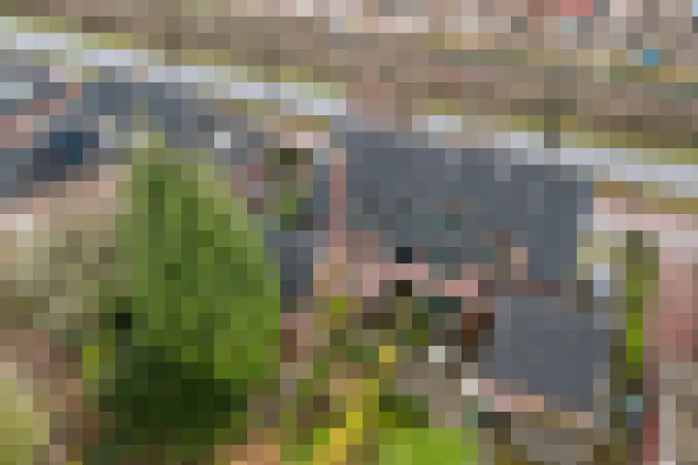Patijnweg 28 Goes thumbnail 53