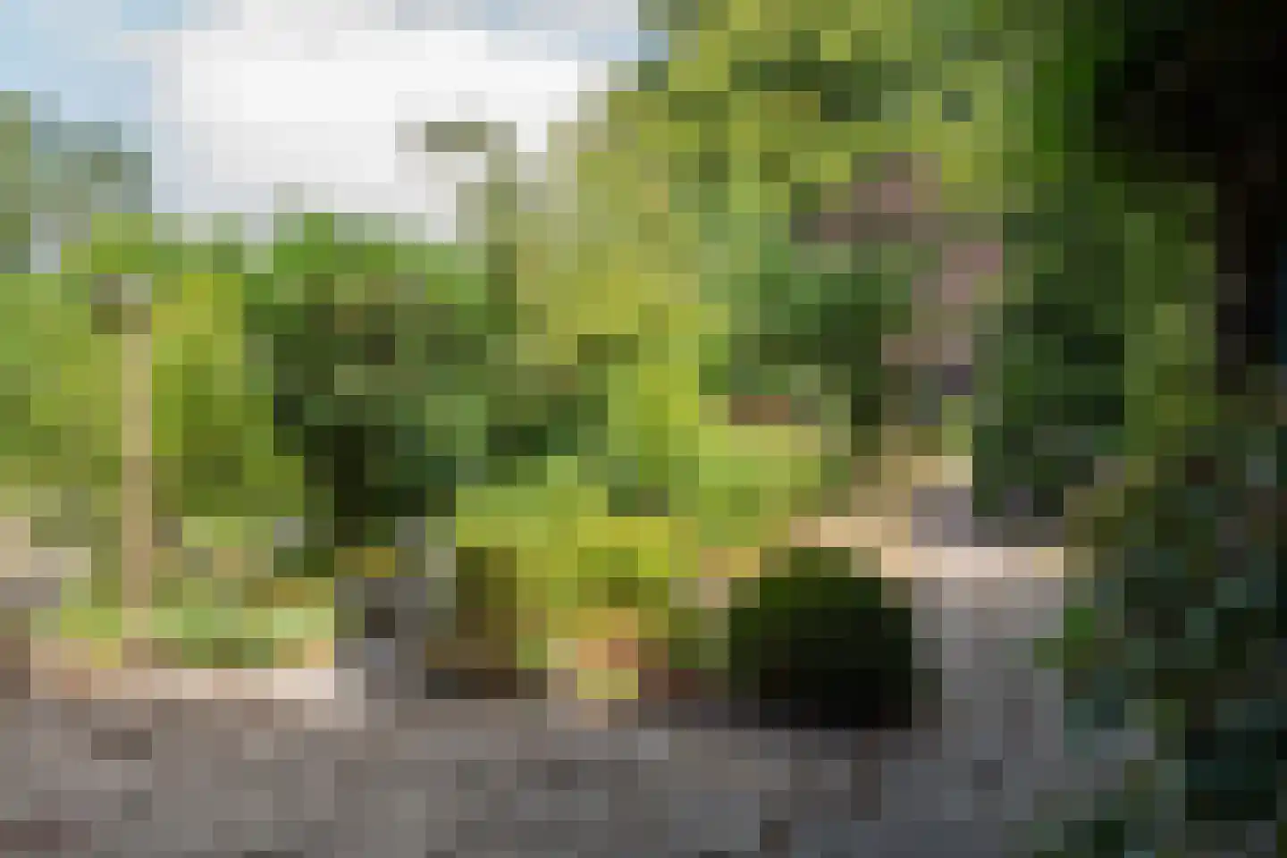Patijnweg 28 Goes thumbnail 55