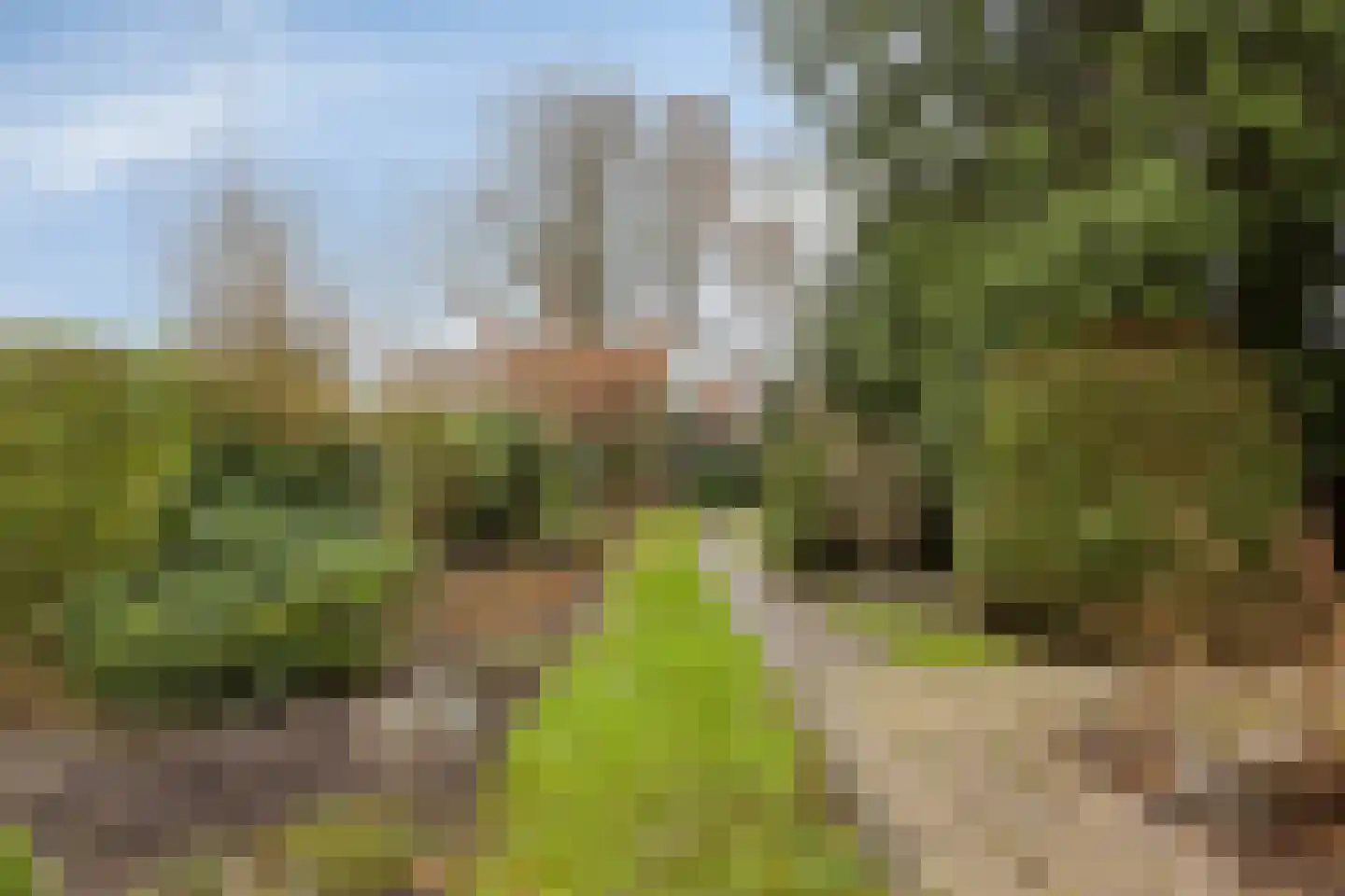 Patijnweg 28 Goes thumbnail 56