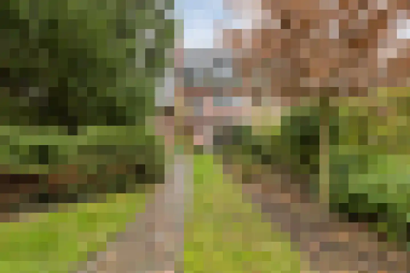 Patijnweg 28 Goes thumbnail 57