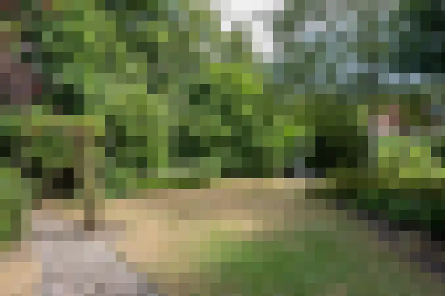 Patijnweg 28 Goes thumbnail 58