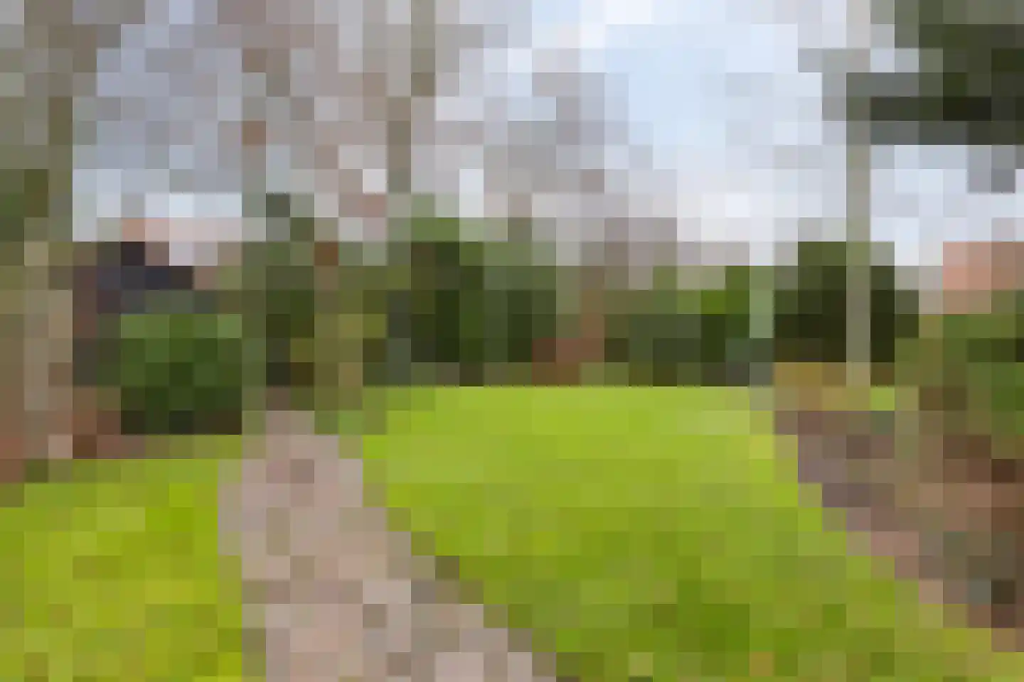 Patijnweg 28 Goes thumbnail 58