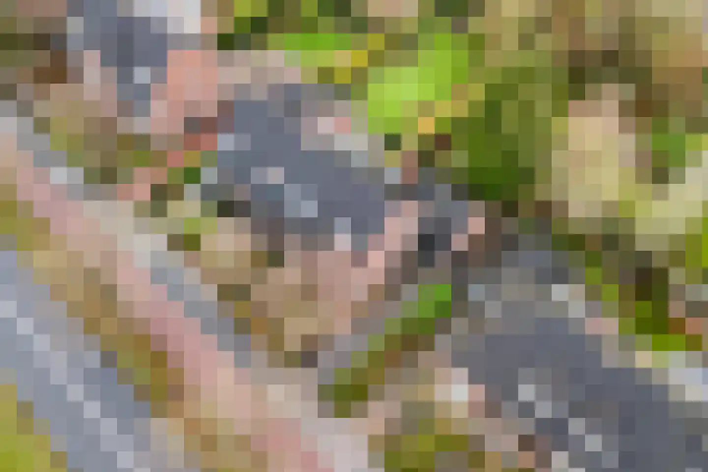 Patijnweg 28 Goes thumbnail 6