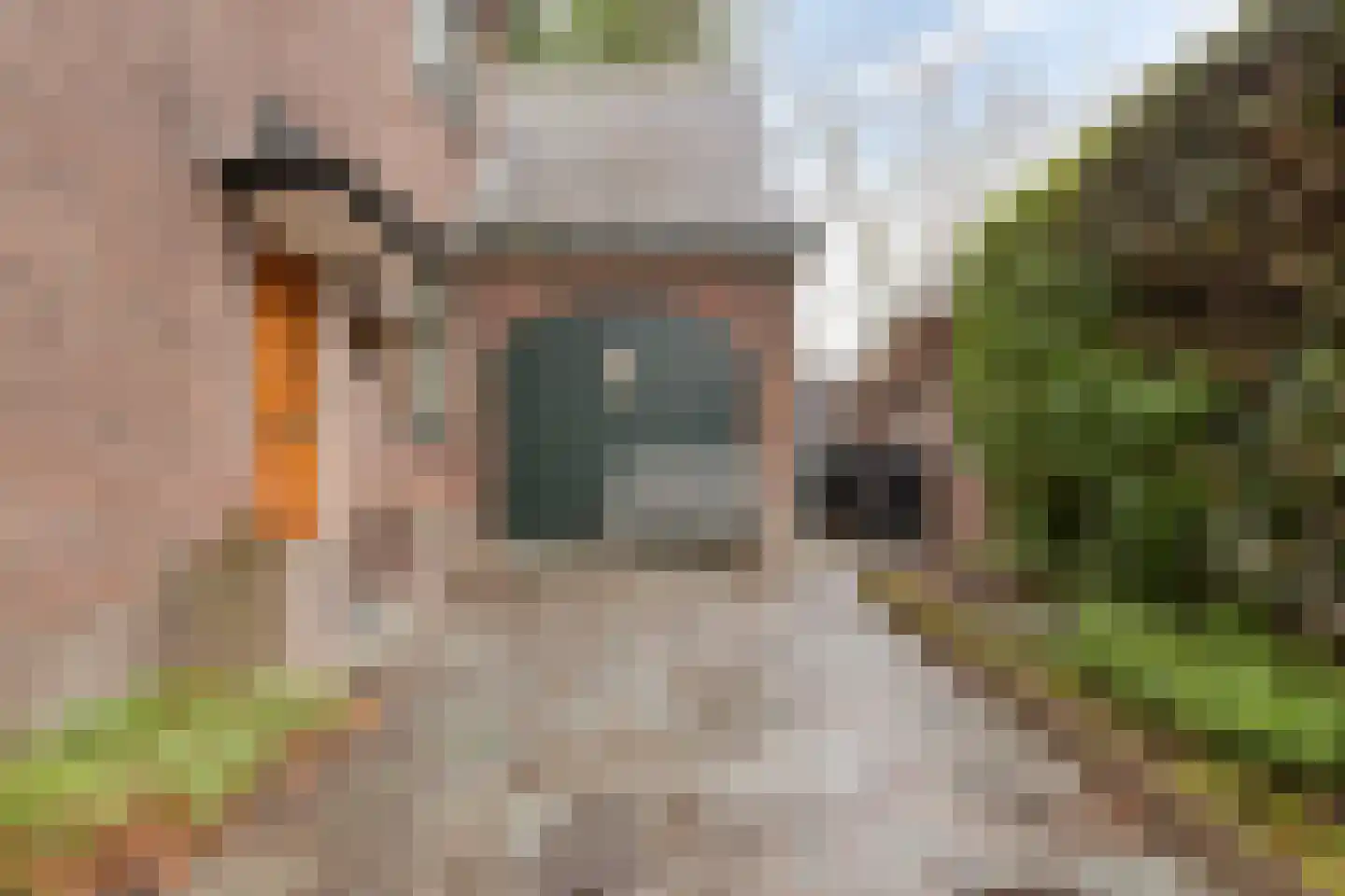 Patijnweg 28 Goes thumbnail 6