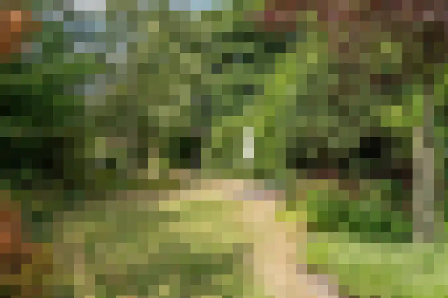 Patijnweg 28 Goes thumbnail 60