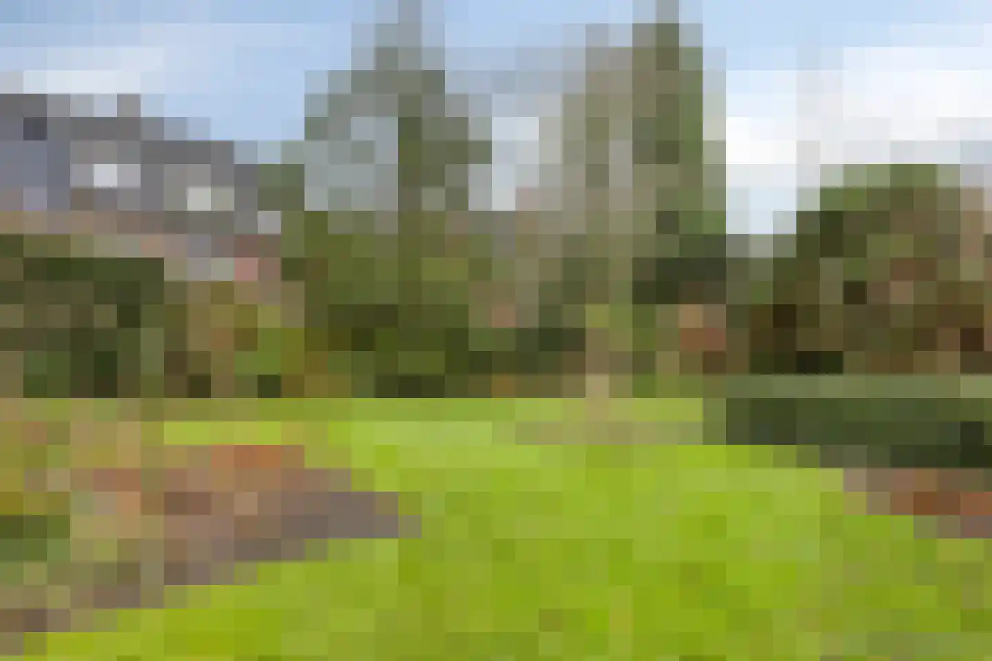Patijnweg 28 Goes thumbnail 62
