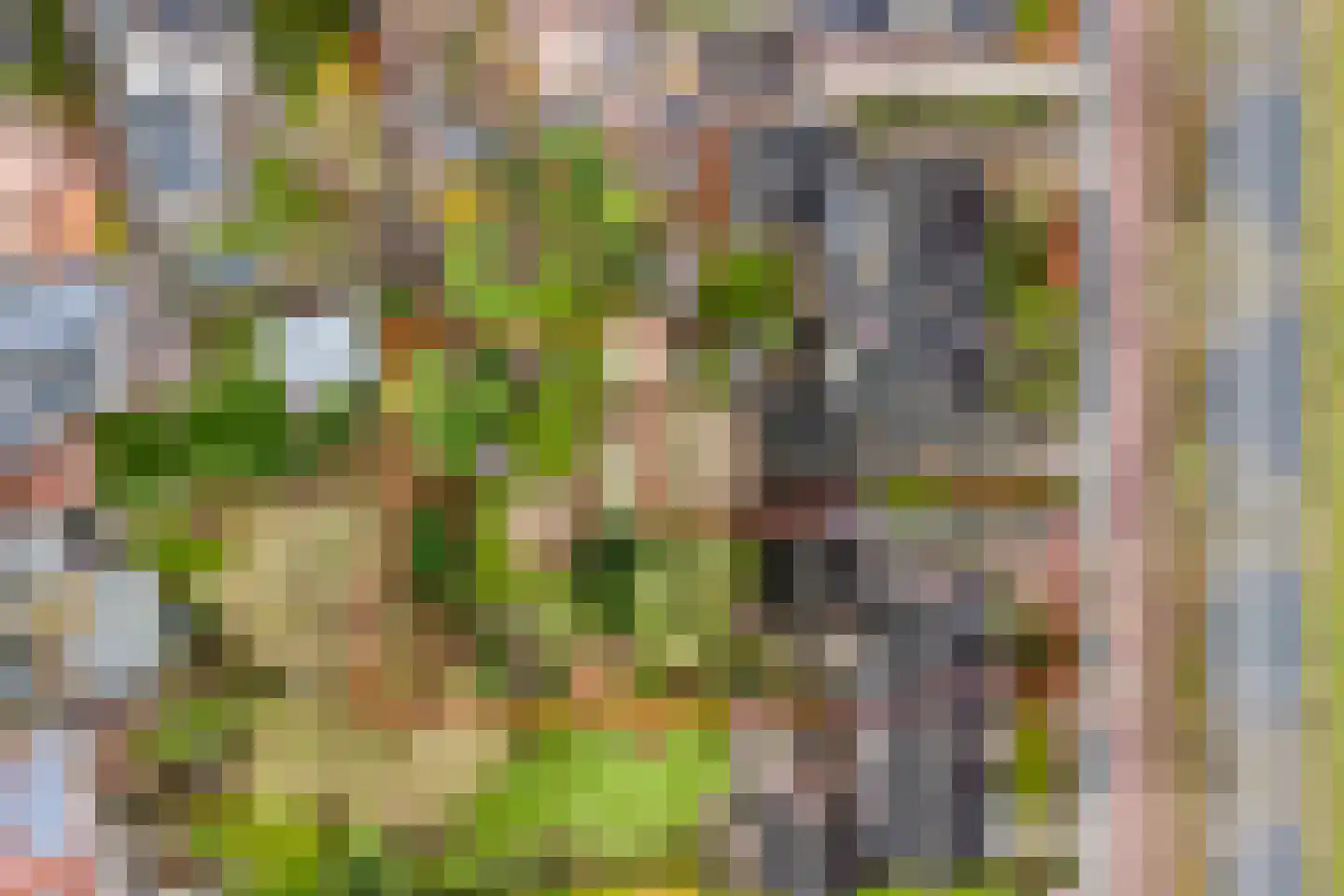 Patijnweg 28 Goes thumbnail 64