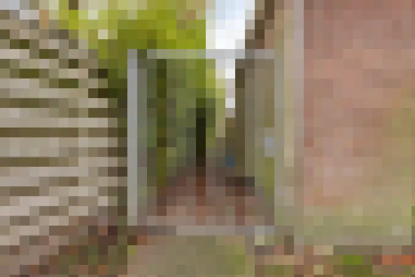 Patijnweg 28 Goes thumbnail 64