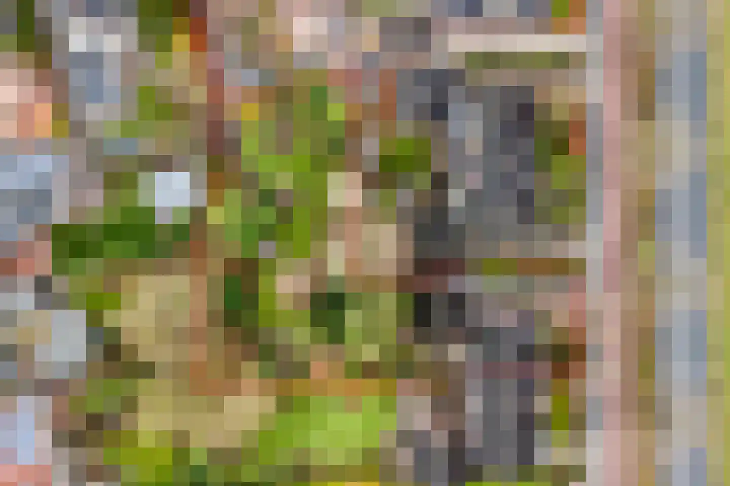 Patijnweg 28 Goes thumbnail 65