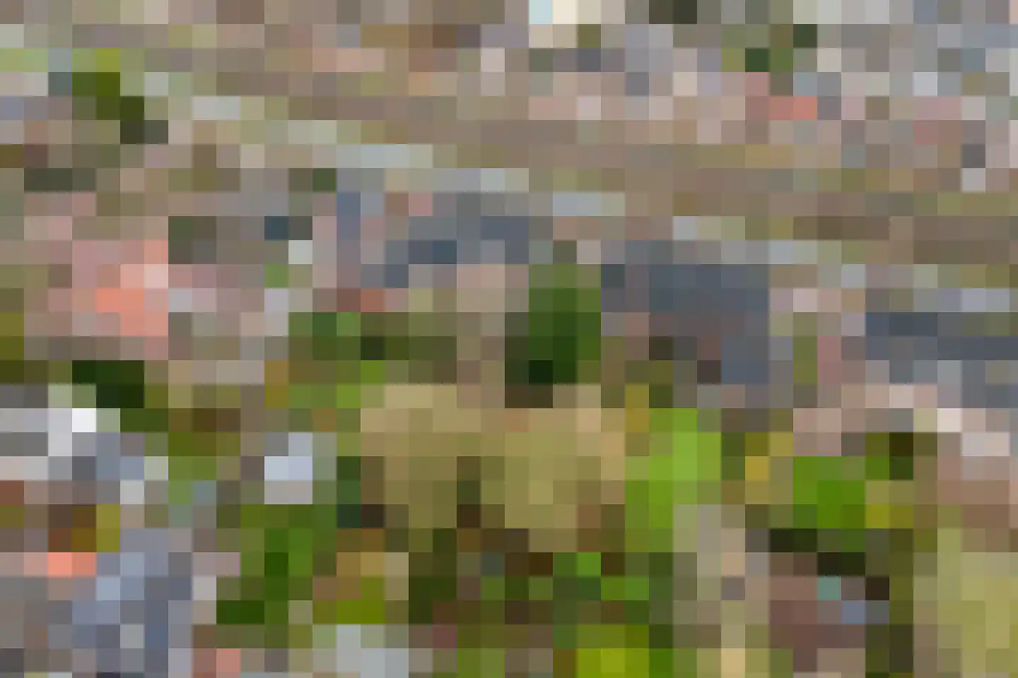 Patijnweg 28 Goes thumbnail 66