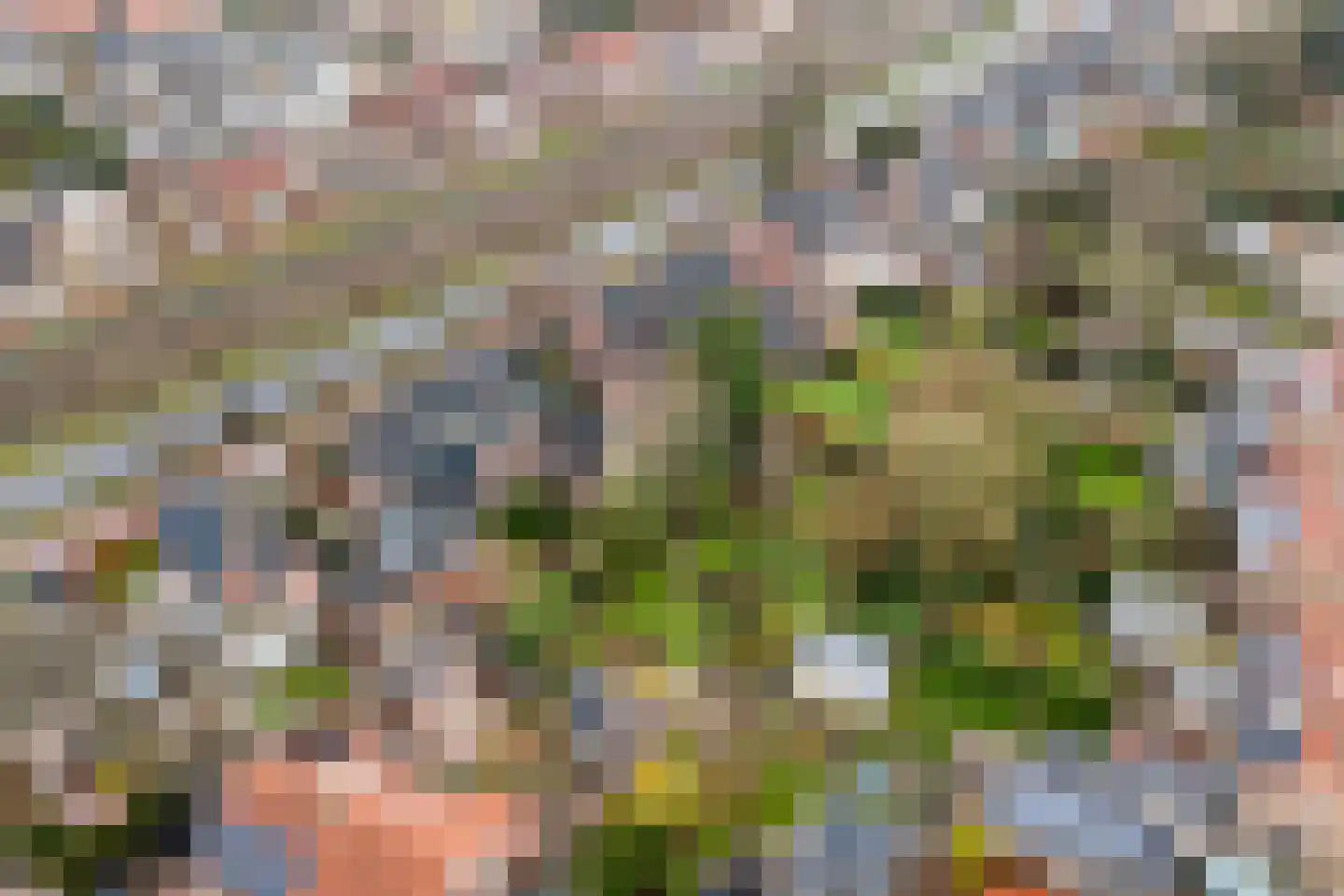 Patijnweg 28 Goes thumbnail 67