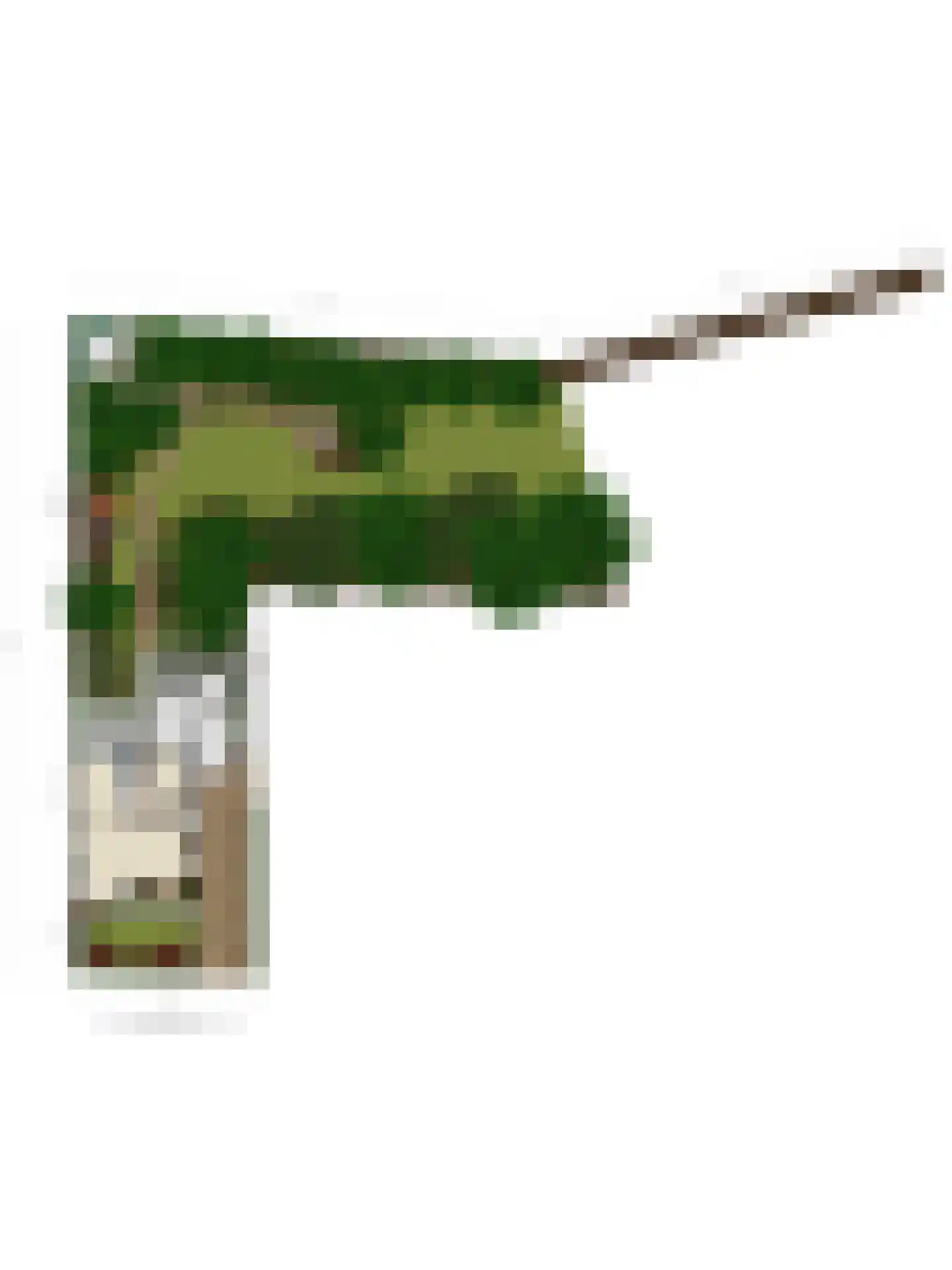 Patijnweg 28 Goes thumbnail 69