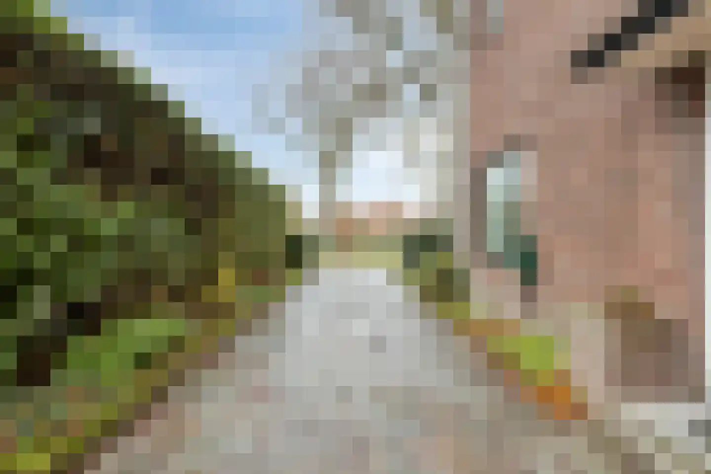 Patijnweg 28 Goes thumbnail 7