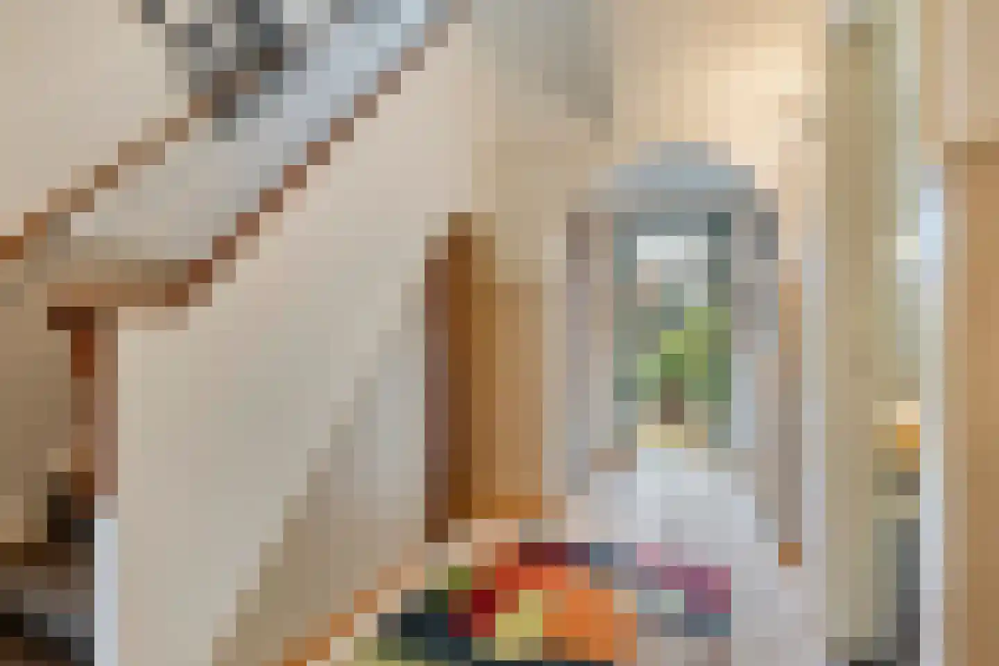 Patijnweg 28 Goes thumbnail 9