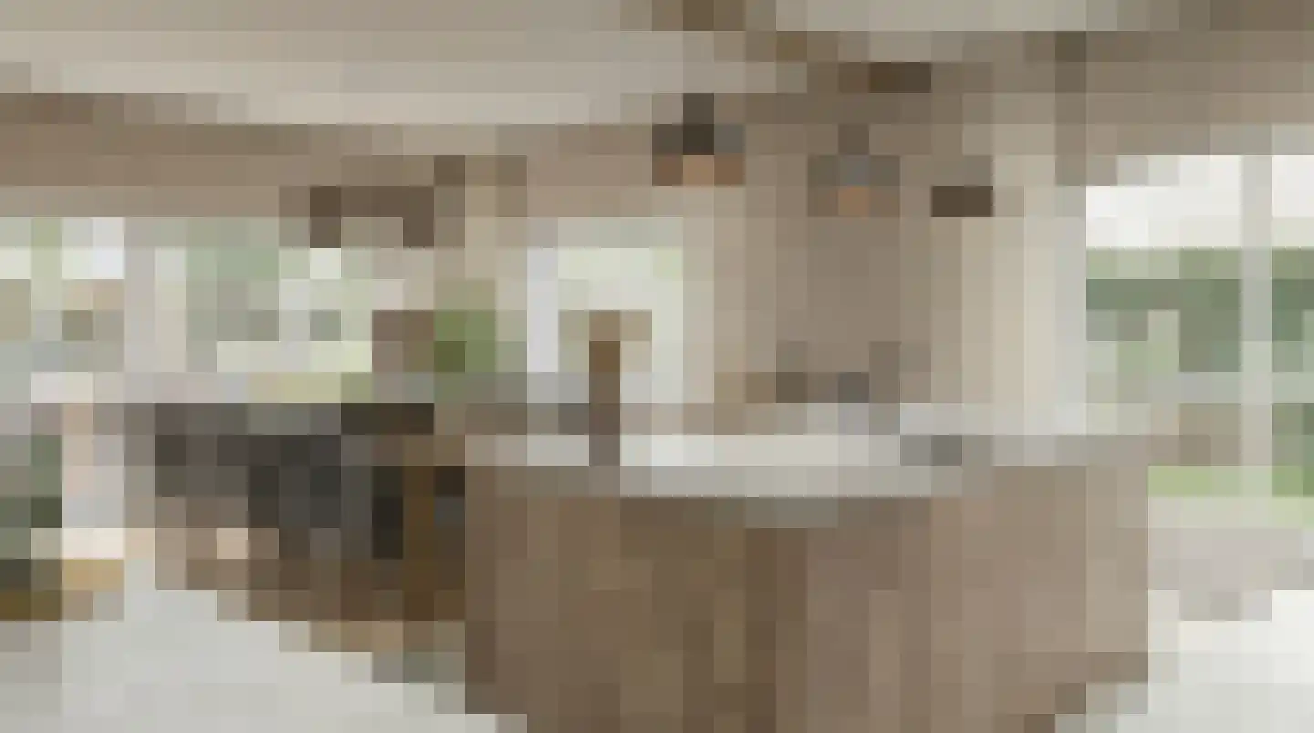 Patijnweg 36 Goes thumbnail 11