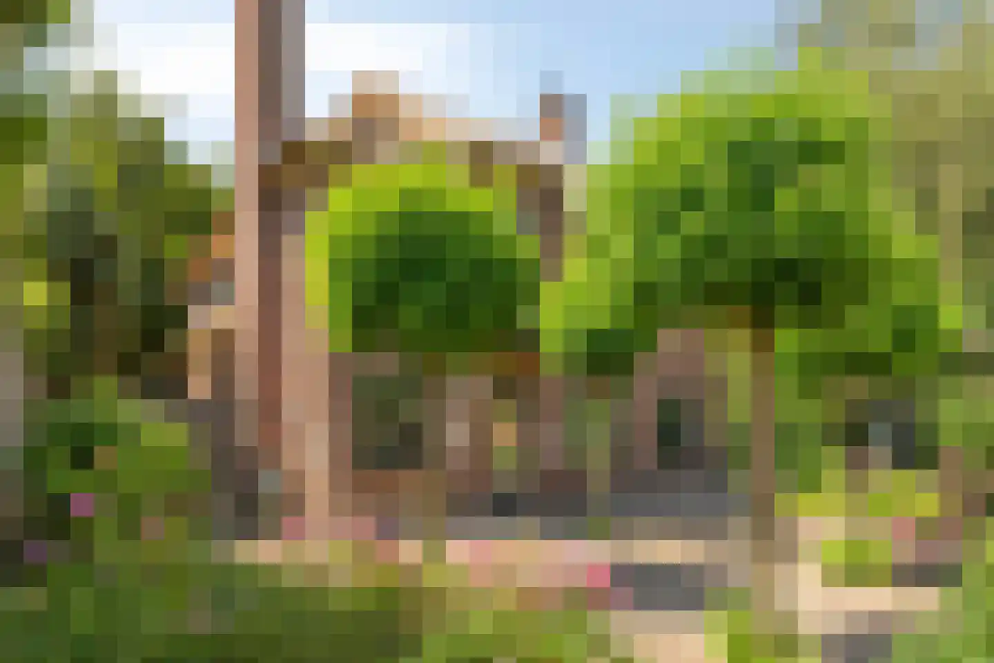 Patijnweg 36 Goes thumbnail 14