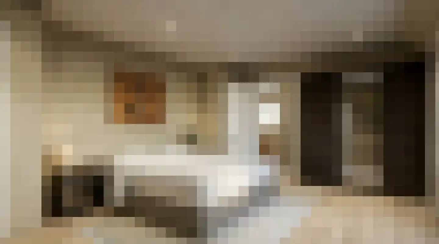 Patijnweg 36 Goes thumbnail 23