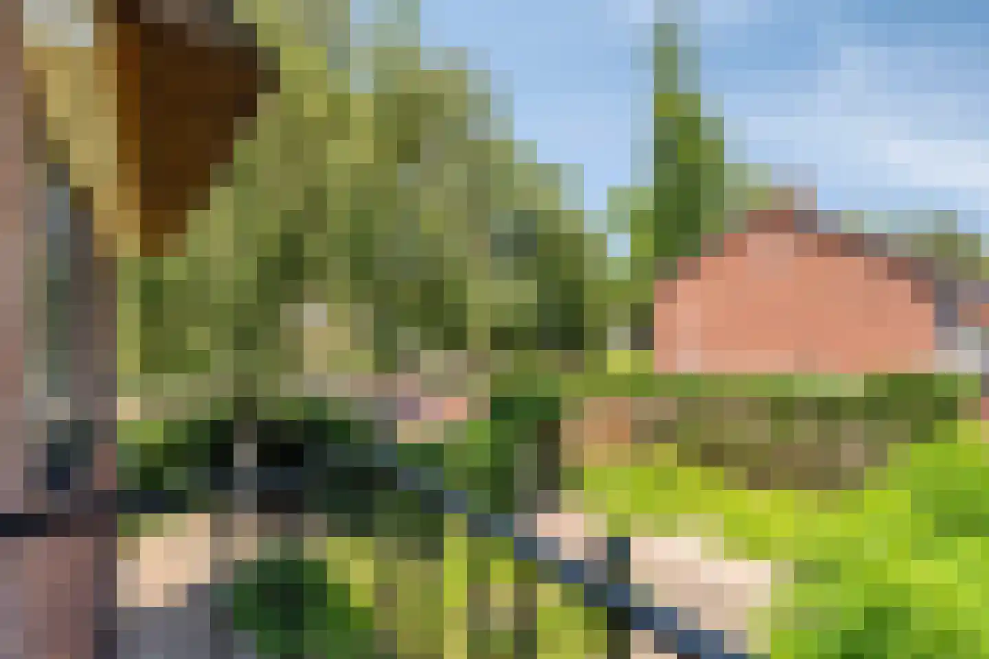 Patijnweg 36 Goes thumbnail 33