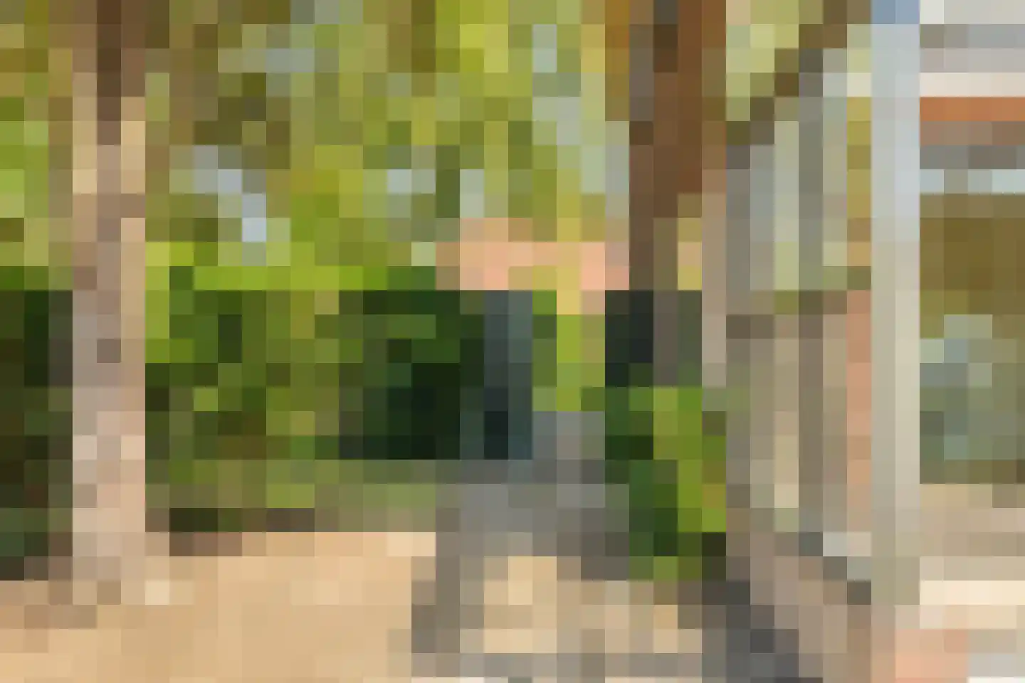 Patijnweg 36 Goes thumbnail 34