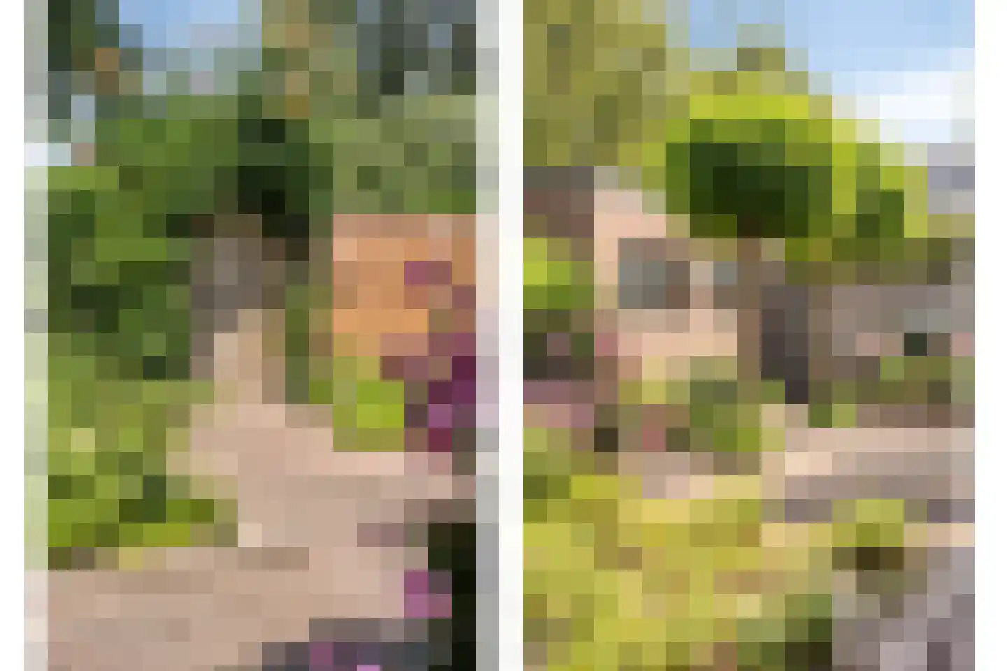 Patijnweg 36 Goes thumbnail 35