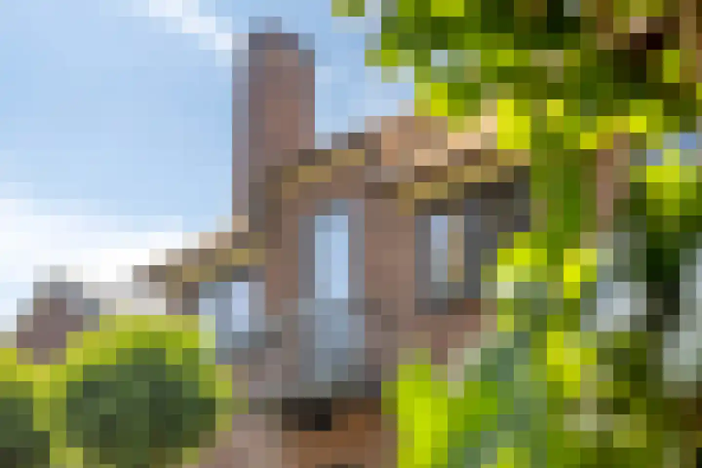 Patijnweg 36 Goes thumbnail 36