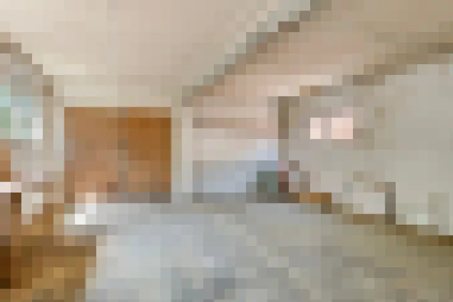 Patijnweg 36 Goes thumbnail 39