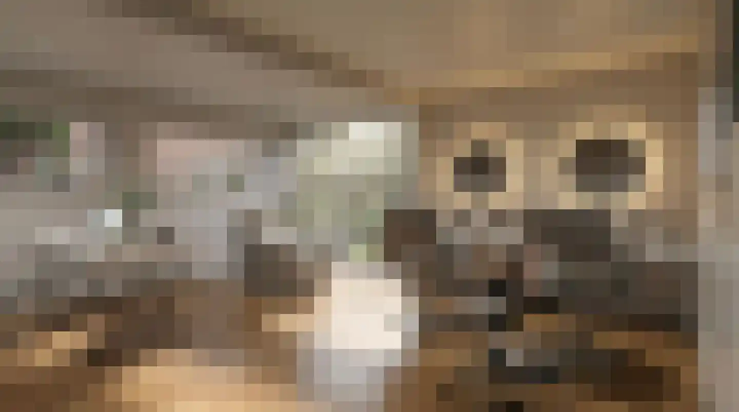 Patijnweg 36 Goes thumbnail 41
