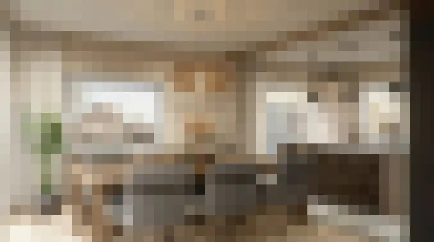 Patijnweg 36 Goes thumbnail 7
