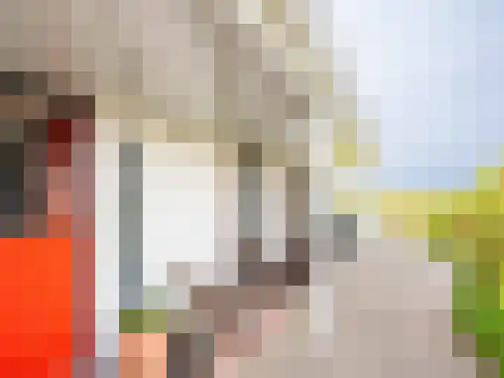 Patijnweg 5 Bergen aan Zee thumbnail 41