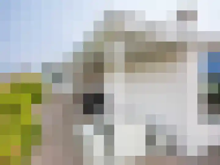 Patijnweg 5 Bergen aan Zee thumbnail 43