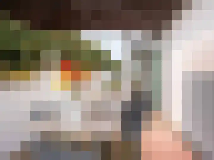Patijnweg 5 Bergen aan Zee thumbnail 48