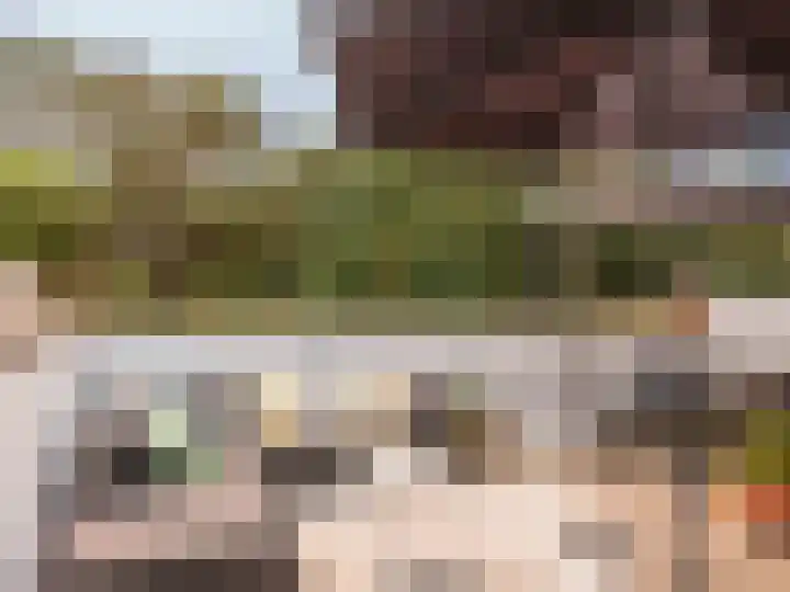 Patijnweg 5 Bergen aan Zee thumbnail 49