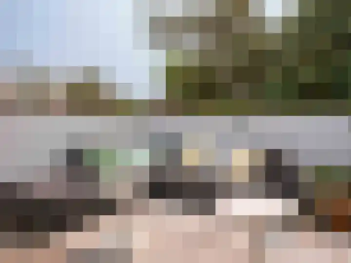Patijnweg 5 Bergen aan Zee thumbnail 50