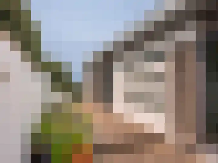 Patijnweg 5 Bergen aan Zee thumbnail 51