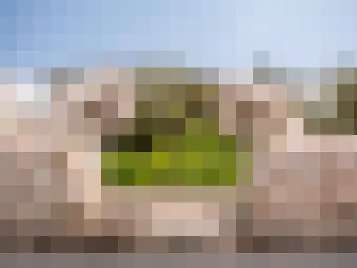 Patijnweg 5 Bergen aan Zee thumbnail 52
