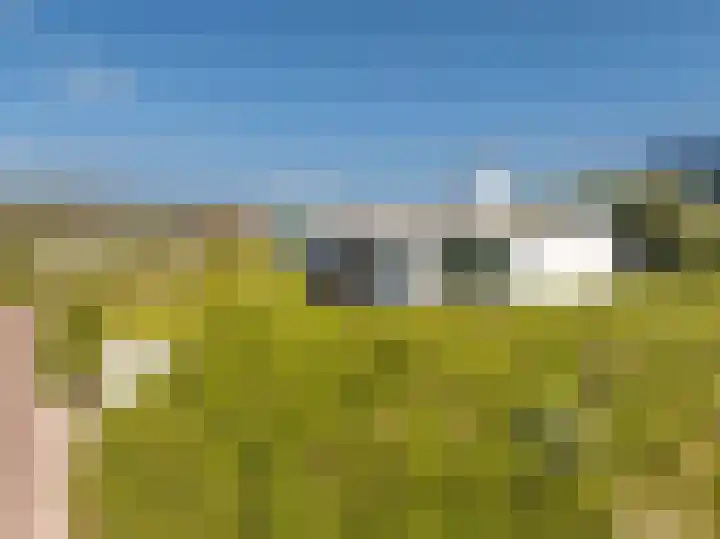 Patijnweg 5 Bergen aan Zee thumbnail 53