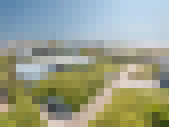 Patijnweg 5 Bergen aan Zee thumbnail 58