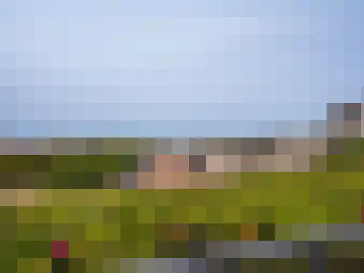 Patijnweg 5 Bergen aan Zee thumbnail 60